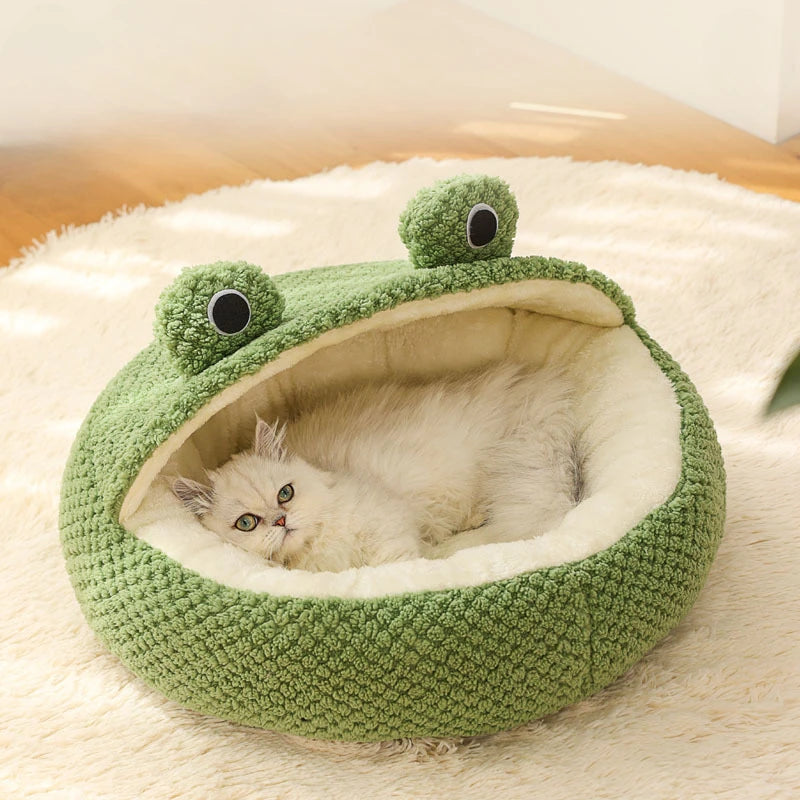Frog Head Cat Cave