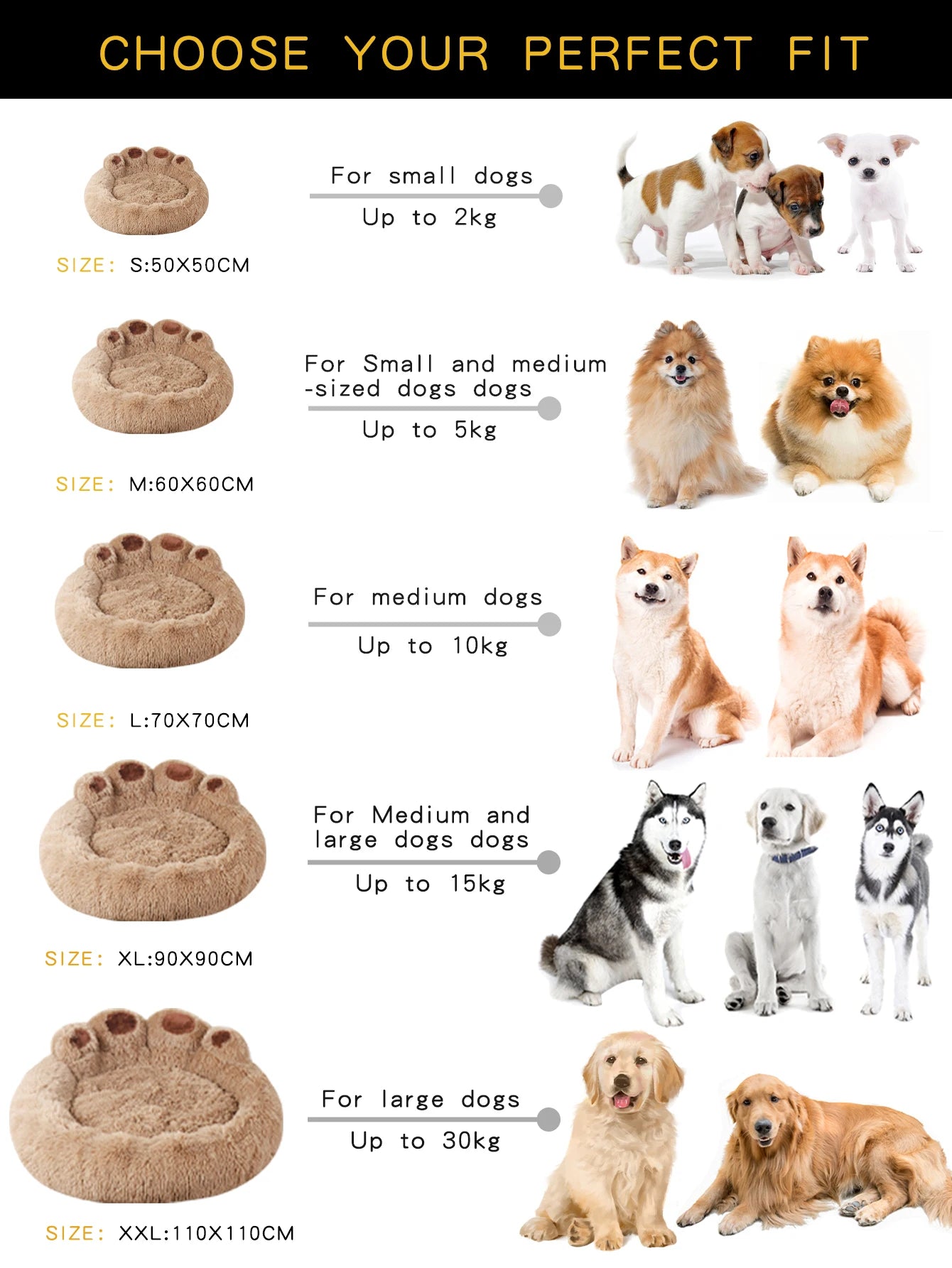The Big Paw Pet Bed