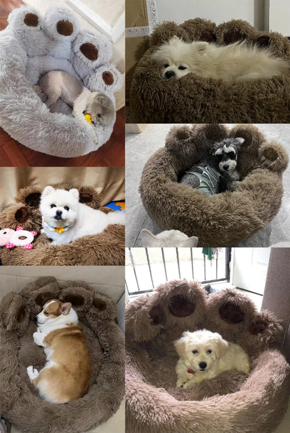 The Big Paw Pet Bed