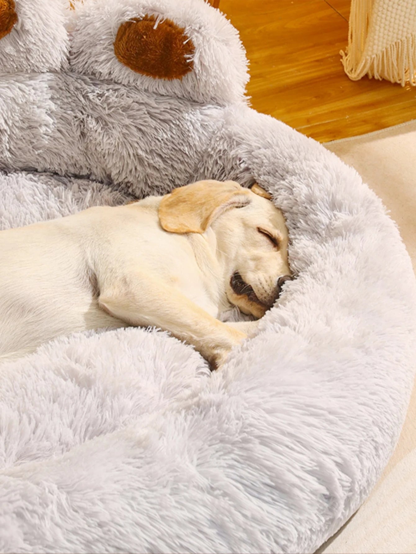 The Big Paw Pet Bed
