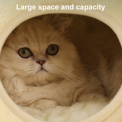 Frog Head Cat Cave