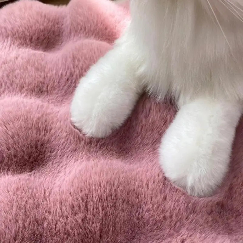 Cozy Cat Mat