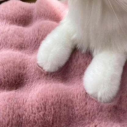 Cozy Cat Mat