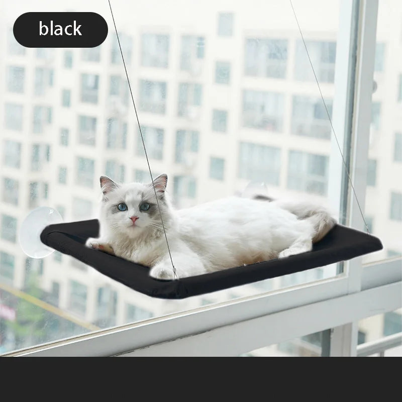 Cool Cat Hammock