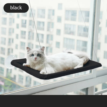 Cool Cat Hammock