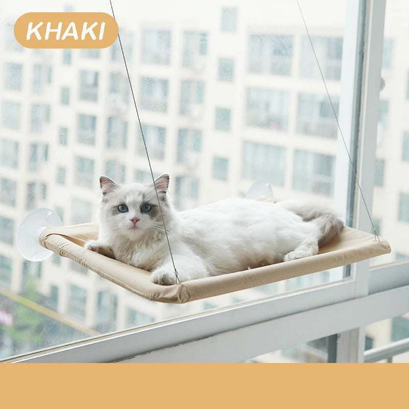Cool Cat Hammock