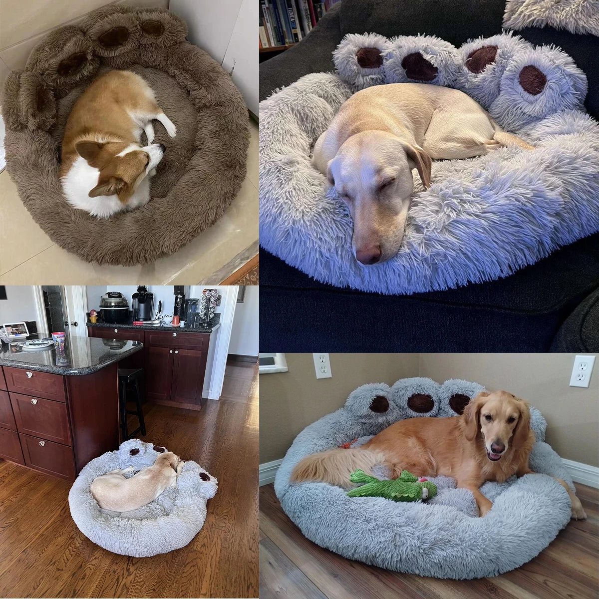 The Big Paw Pet Bed