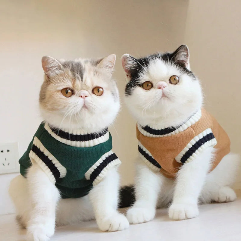 Cat Sweater Pullover