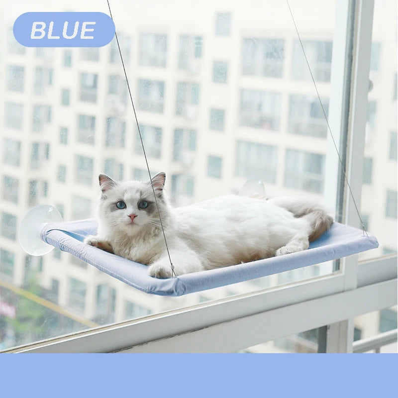 Cool Cat Hammock