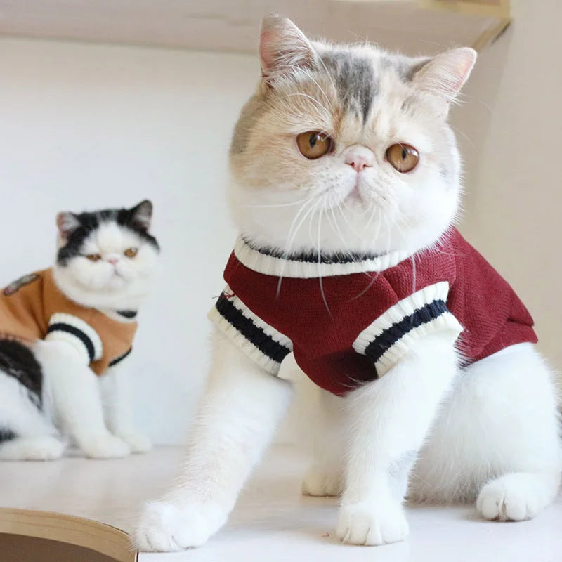 Cat Sweater Pullover