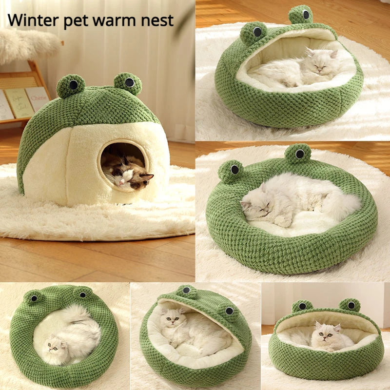 Frog Head Cat Cave