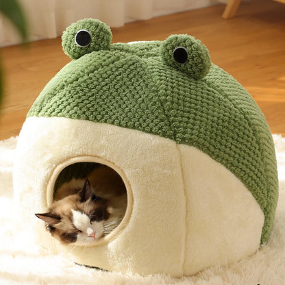 Frog Head Cat Cave