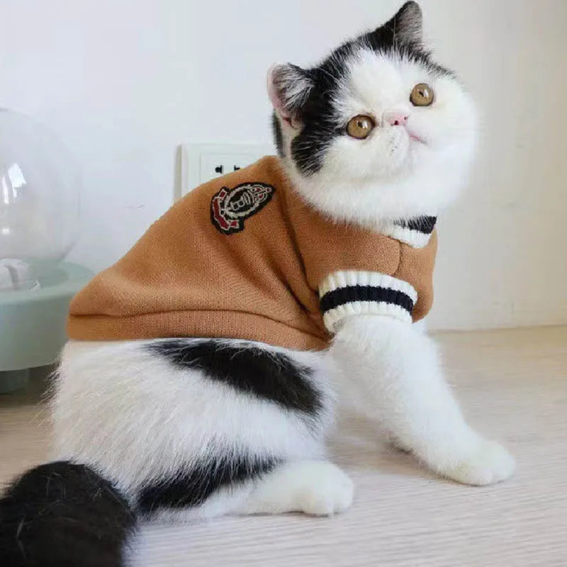 Cat Sweater Pullover