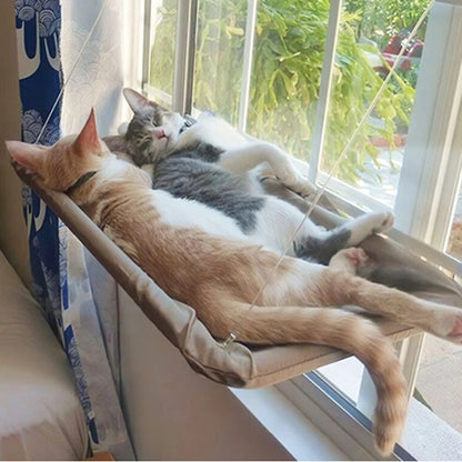 Cool Cat Hammock