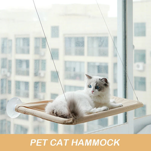 Cool Cat Hammock