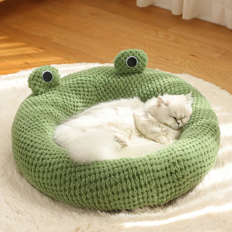 Frog Head Cat Cave