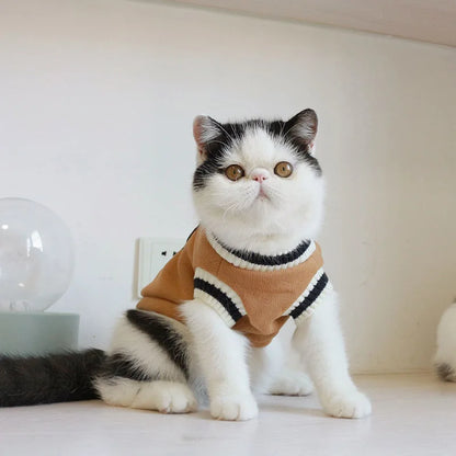 Cat Sweater Pullover
