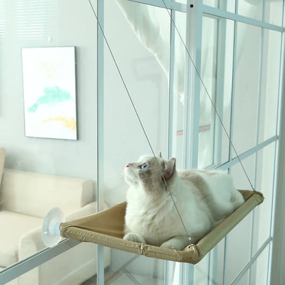 Cool Cat Hammock