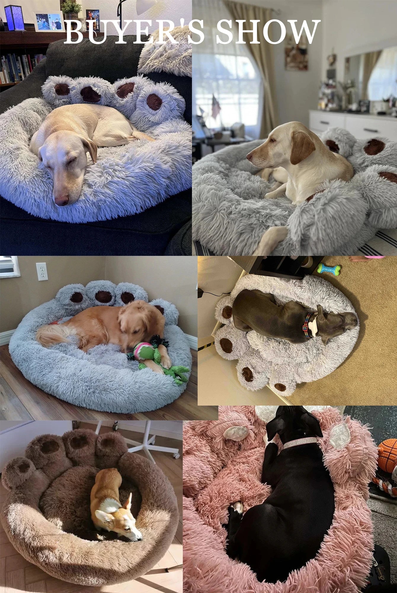The Big Paw Pet Bed
