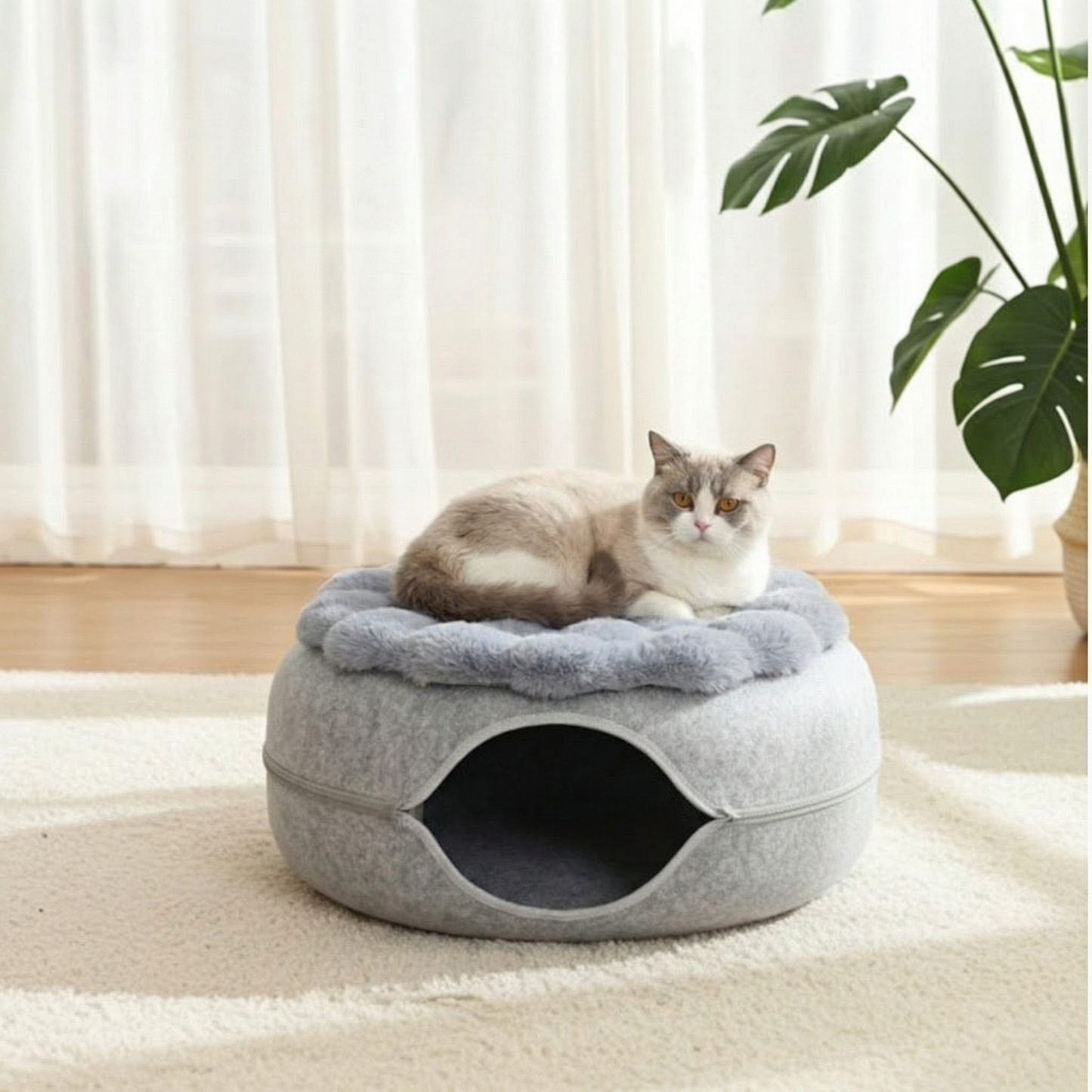 Cozy Cat Mat